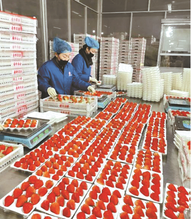 1582912910449582.png image.png