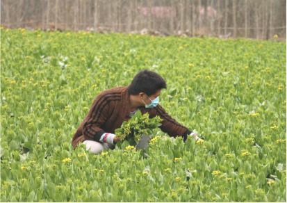 1584098426147114.png image.png