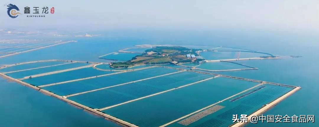 鑫玉龙平岛，一座被誉为“海上香格里拉”的辽参胜地