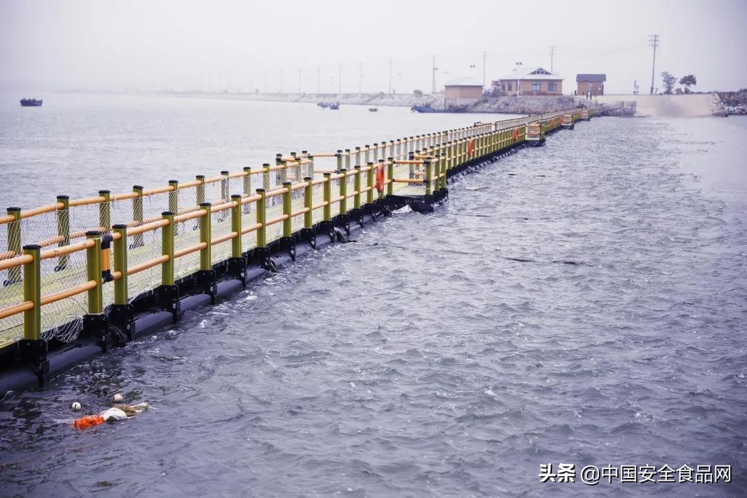 鑫玉龙平岛，一座被誉为“海上香格里拉”的辽参胜地