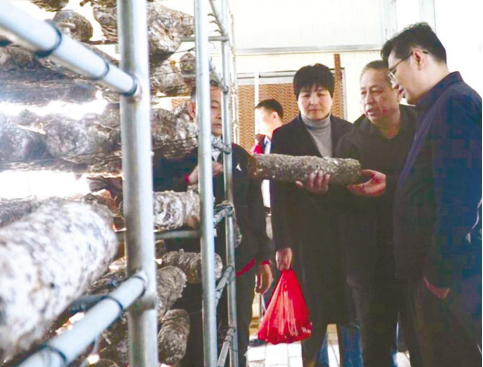 积极践行媒体社会责任 助力革命老区产业升级  中国食品报社社长黄国胜一行调研河北阜平食品产业发展