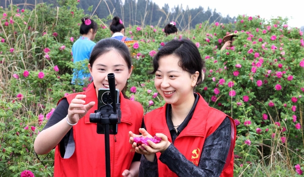 图片新闻