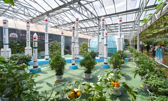 第二十六届中国（寿光）国际蔬菜科技博览会—— 向世界展示现代农业的无限可能