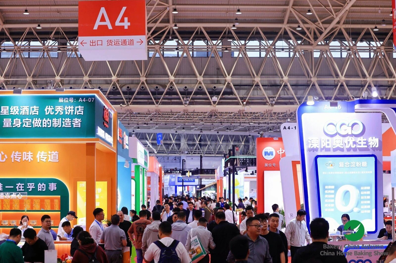 1761048598211568.jpg 4.jpg