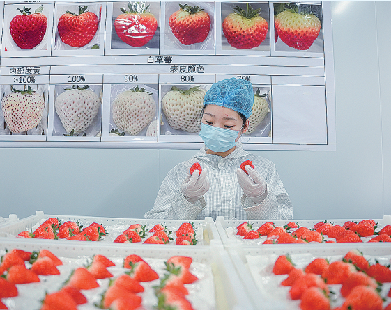 图片新闻